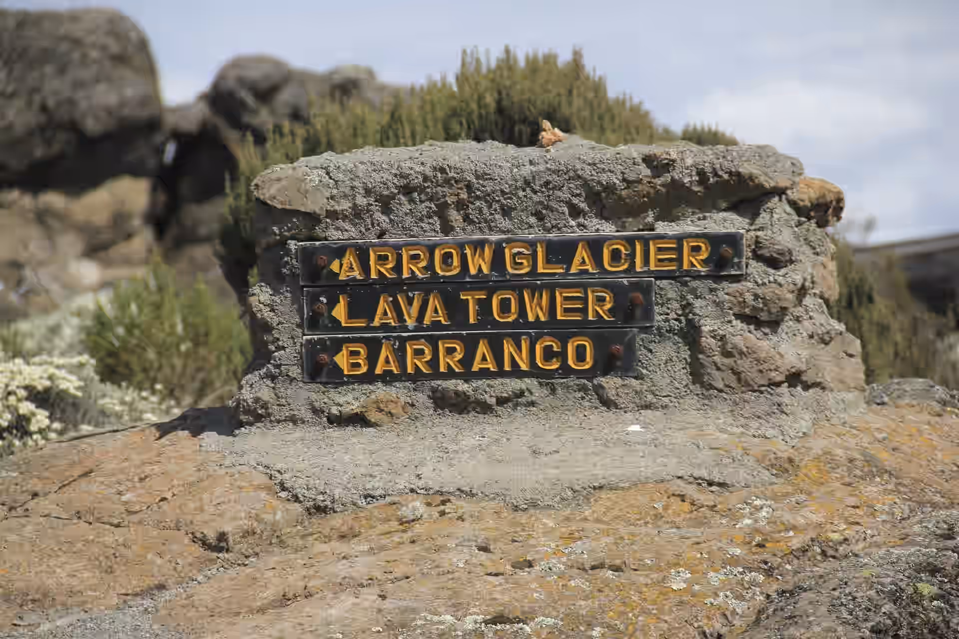 10-Day Mount Kilimanjaro Climb – Machame Route (Tanzania) - 3