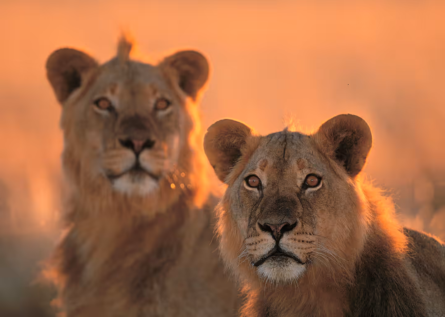 3-Day Queen Elizabeth National Park Safari (Uganda) - 3