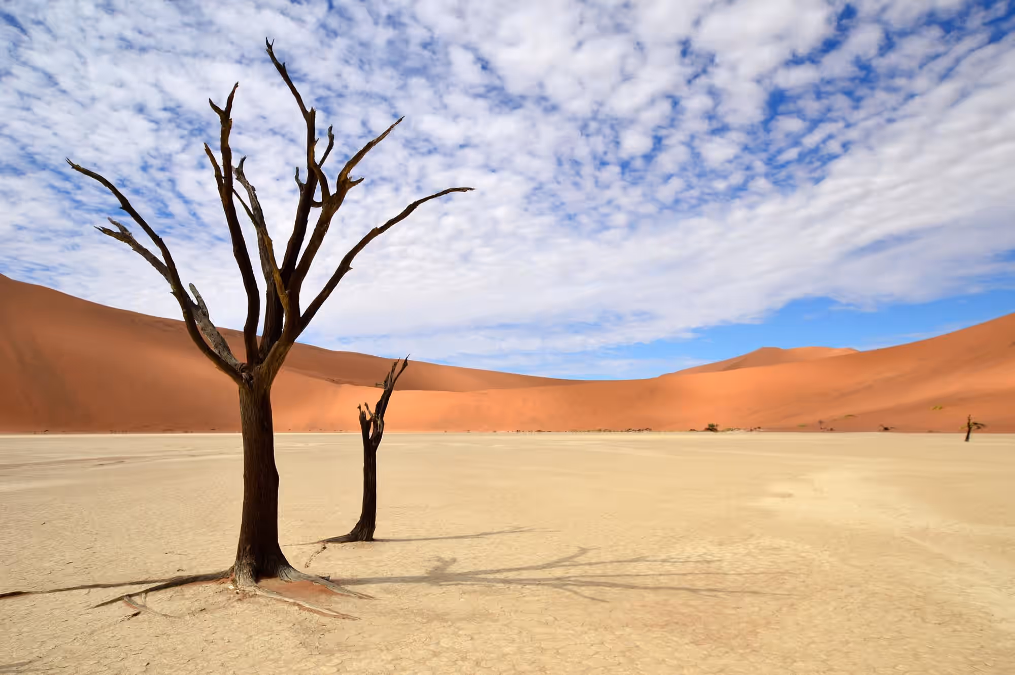 13-Day Namibia Desert, Coast & Wildlife Explorer - 6