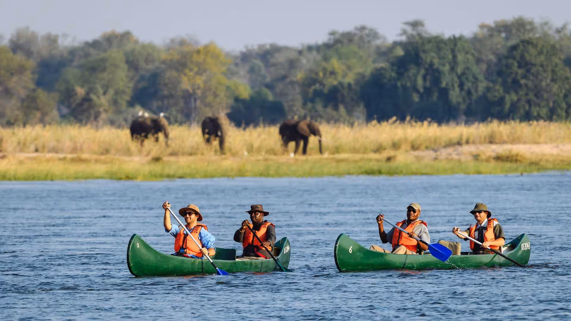 6-Day Fly-In Mana Pools — Authentic Heart of Real Africa - 4